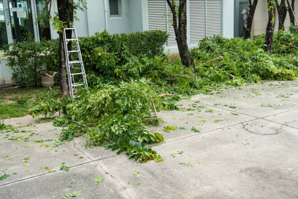 Best Lawn Fertilization  in Murrieta, CA